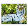 Fekvő tigris - számfestő készlet - Számfestő.hu - 40×50cm - Keretre feszítve