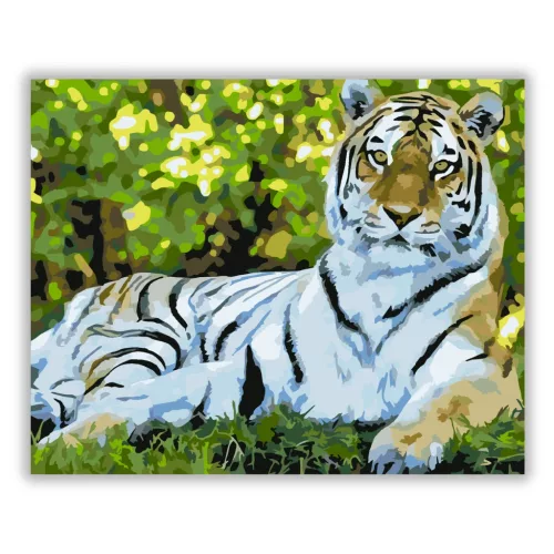 Fekvő tigris - számfestő készlet - Számfestő.hu - 40×50cm - Keretre feszítve