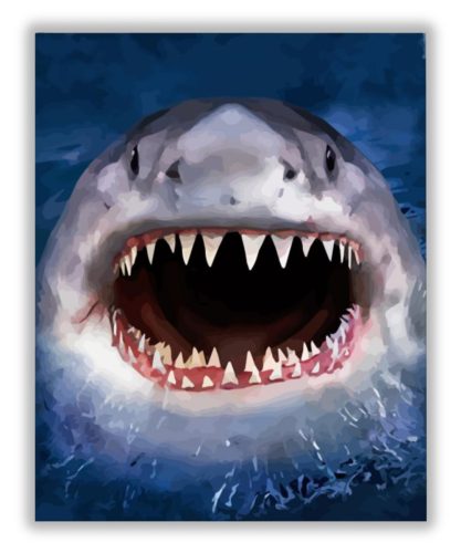 Cápa fogai - számfestő készlet
