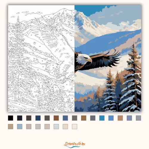 Fehérfejű Rétisas Téli Tájban - számfestő készlet - Számfestő.hu - 40×50cm - Keret nélkül