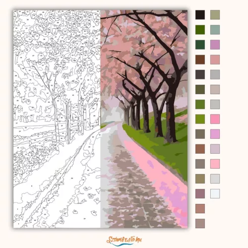Cseresznyevirágok Tavaszi Sétaút - számfestő készlet - Számfestő.hu - 40×50cm - Keretre feszítve