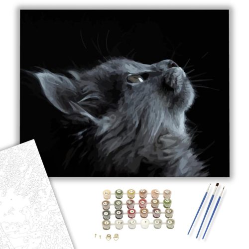 Szürke macska tekintete - számfestő készlet - Számfestő.hu - 40×50cm - keret nélkül