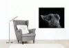 Szürke macska tekintete - számfestő készlet - Számfestő.hu - 80×100cm - keret nélkül