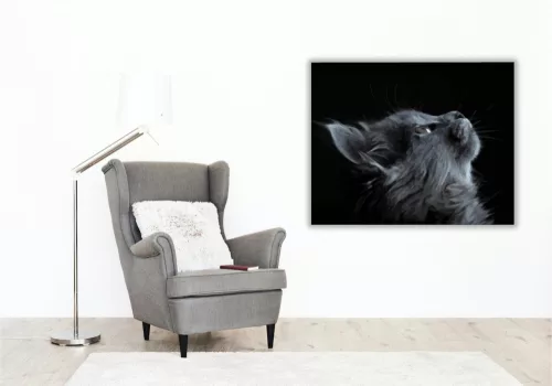Szürke macska tekintete - számfestő készlet - Számfestő.hu - 50×60cm - keret nélkül