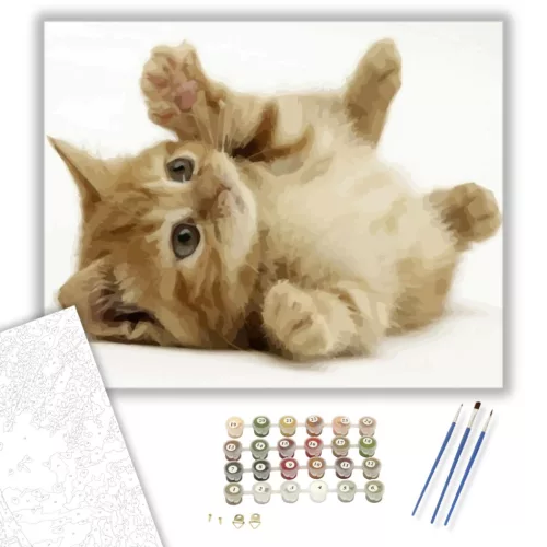Játékos kiscica - számfestő készlet - Számfestő.hu - 40×50cm - keret nélkül