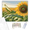 Zöld Szöcske Napraforgón - számfestő készlet - Számfestő.hu - 40×50cm - keretre feszítve