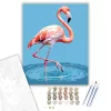 Kecses Flamingó a Sekély Vízben - számfestő készlet - Számfestő.hu - 80×100cm - keret nélkül