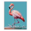 Elegáns Flamingó a Sekély Vízben - számfestő készlet - Számfestő.hu - 40×50cm - Keret nélkül