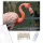 Flamingó Közeli Pillantás a Vízparton - számfestő készlet - Számfestő.hu - 80×100cm - keret nélkül