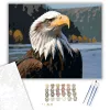 Sas a Folyóparton - számfestő készlet - Számfestő.hu - 50×60cm - keretre feszítve