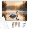 Hattyú a Hajnalban - számfestő készlet - Számfestő.hu - 50×60cm - keret nélkül