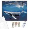 Humpback Bálna a Tiszta Víz Alatt - számfestő készlet - Számfestő.hu - 40×50cm - keret nélkül