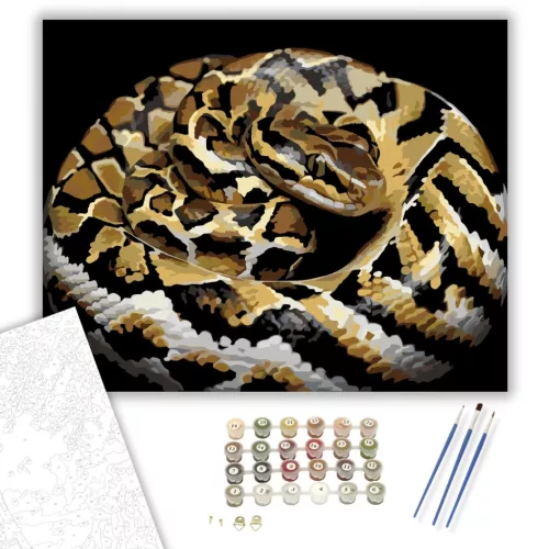 Gömbölyödő Piton - számfestő készlet - Számfestő.hu - 80×100cm - keret nélkül