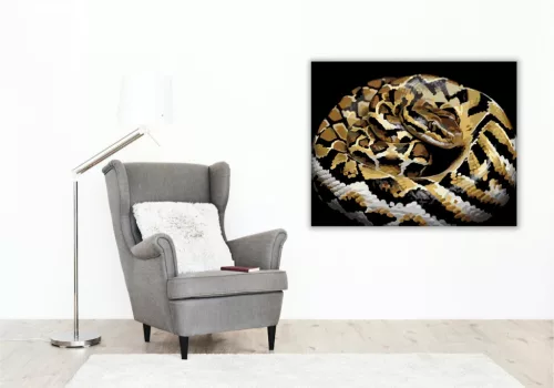 Gömbölyödő Piton - számfestő készlet - Számfestő.hu - 40×50cm - keretre feszítve