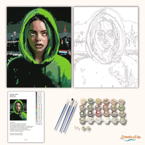 Billie Eilish Portré - számfestő készlet - Számfestő.hu - 40×50cm - Keretre feszítve