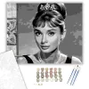 Klasszikus Portré - számfestő készlet - Számfestő.hu - 60×70cm - keret nélkül