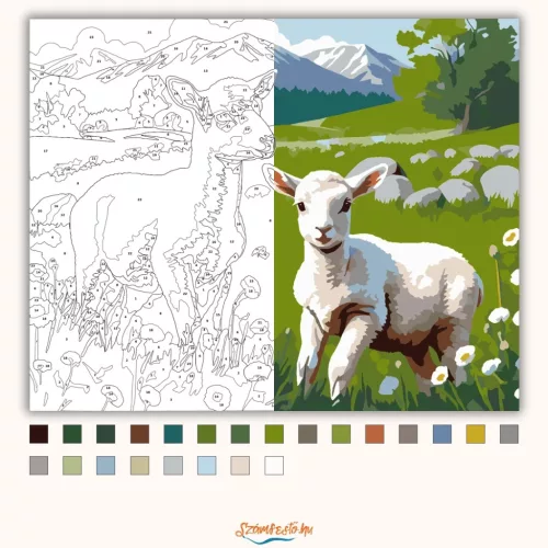 Báránykák Napfényes Réten - számfestő készlet - Számfestő.hu - 40×50cm - Keret nélkül