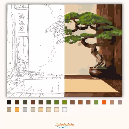Bonsai és Zen Kalligráfia - számfestő készlet - Számfestő.hu - 40×50cm - Keret nélkül