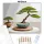 Bonsai és Kavicsmintás Zen Kert - számfestő készlet - Számfestő.hu - 40×50cm - Keret nélkül