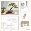 Bonsai és Kavicsmintás Zen Kert - számfestő készlet - Számfestő.hu - 40×50cm - Keret nélkül