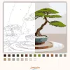 Bonsai és Kavicsmintás Zen Kert - számfestő készlet - Számfestő.hu - 40×50cm - Keret nélkül
