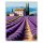 Provence-i Levendulamező és Kőház - Számfestő.hu