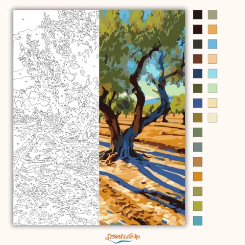 Andalúziai Olajfaliget - számfestő készlet - Számfestő.hu - 40×50cm - Keret nélkül