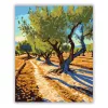Andalúziai Olajfaliget - számfestő készlet - Számfestő.hu - 40×50cm - Keret nélkül