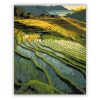 Yunnan Aranyló Teraszai - Számfestő.hu