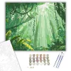 Tijuca Nemzeti Park Trópusi Reggel - számfestő készlet - Számfestő.hu - 40×50cm - keret nélkül