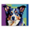 Neon Színű Border Collie - Számfestő.hu