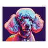 Neon Színű Poodle - Számfestő.hu