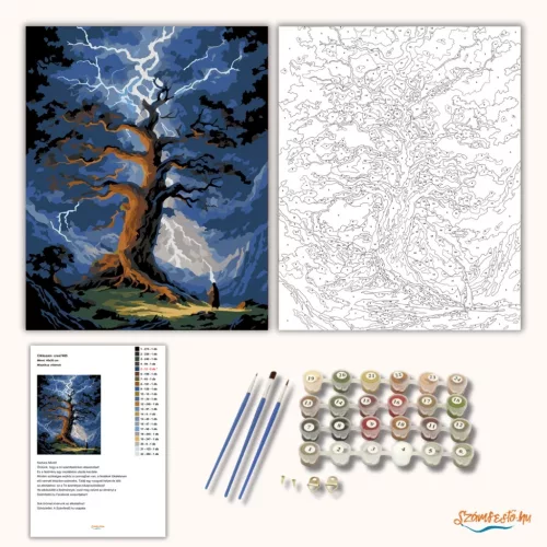 Misztikus villámok - számfestő készlet - Számfestő.hu - 40×50cm - Keret nélkül