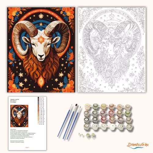 Kos csillagjegy - számfestő készlet - Számfestő.hu - 40×50cm - Keretre feszítve