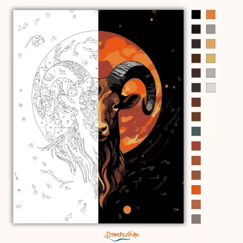 Harcias kos tekintet - számfestő készlet - Számfestő.hu - 40×50cm - Keret nélkül