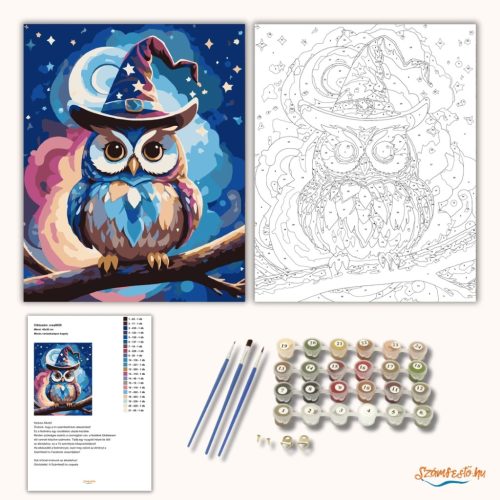 Mesés varázskalapos bagoly - számfestő készlet - Számfestő.hu - 60×70cm - Keretre feszítve