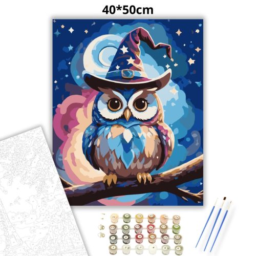 Mesés varázskalapos bagoly - számfestő készlet - Számfestő.hu - 40×50cm - Keretre feszítve