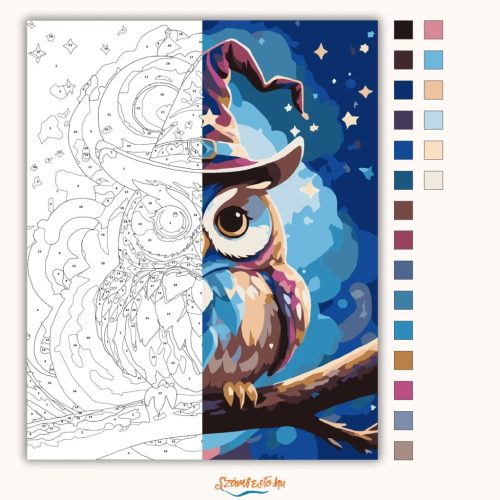 Mesés varázskalapos bagoly - számfestő készlet - Számfestő.hu - 40×50cm - Keretre feszítve