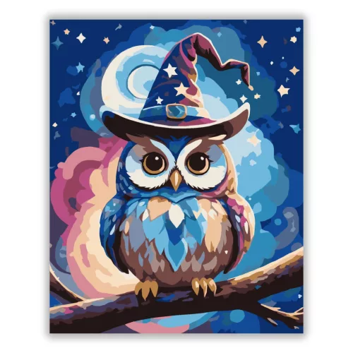 Mesés varázskalapos bagoly - számfestő készlet - Számfestő.hu - 40×50cm - Keretre feszítve