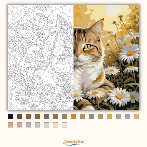 Aranyló cirmos pihenője - számfestő készlet - Számfestő.hu - 50×60cm - Keretre feszítve