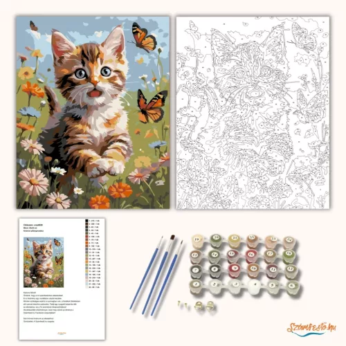 Kíváncsi pillangóvadász - számfestő készlet - Számfestő.hu - 60×70cm - Keretre feszítve