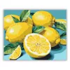 Friss citromok levelekkel - számfestő készlet - Számfestő.hu - 50×60cm - Keretre feszítve