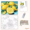 Friss citromok levelekkel - számfestő készlet - Számfestő.hu - 60×70cm - Keretre feszítve