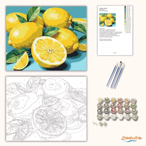 Friss citromok levelekkel - számfestő készlet - Számfestő.hu - 40×50cm - Keretre feszítve
