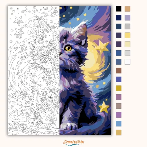 Bolyhos kiscica a csillagok alatt - számfestő készlet - Számfestő.hu - 40×50cm - Keretre feszítve