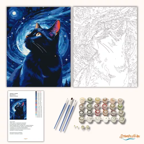 Rejtelmes cica tekintete - számfestő készlet - Számfestő.hu - 80×100cm - Keret nélkül