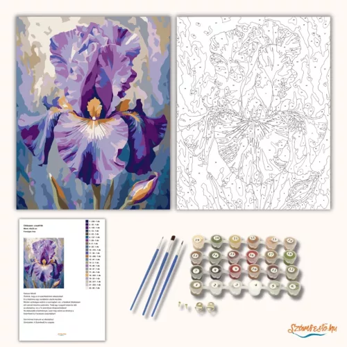 Fenséges írisz - számfestő készlet - Számfestő.hu - 50×60cm - Keret nélkül