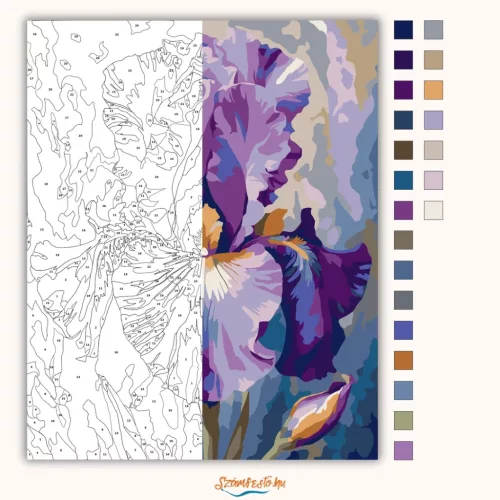 Fenséges írisz - számfestő készlet - Számfestő.hu - 60×70cm - Keret nélkül