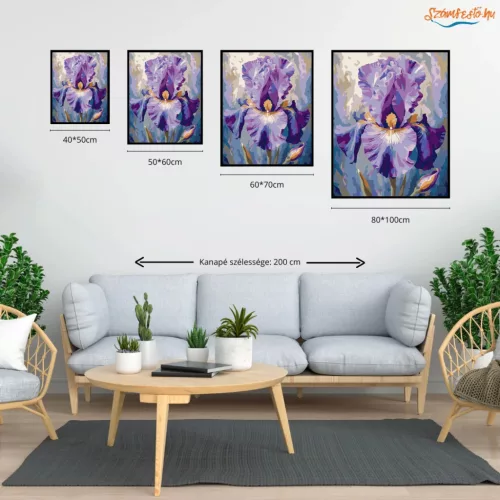 Fenséges írisz - számfestő készlet - Számfestő.hu - 60×70cm - Keretre feszítve