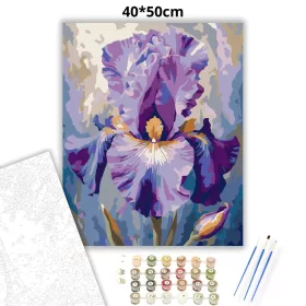Fenséges írisz - számfestő készlet - Számfestő.hu - 40×50cm - Keret nélkül